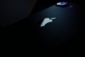 Marque Apple